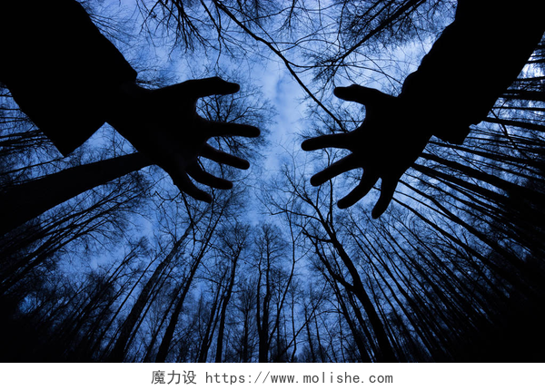 黑夜中树木下伸出一双手幽灵般黑暗森林中的鬼魅剪影